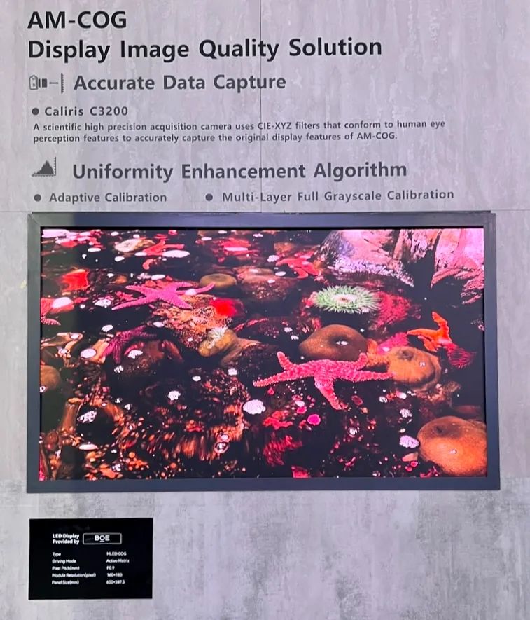 1706671202125704.jpg 6.jpg