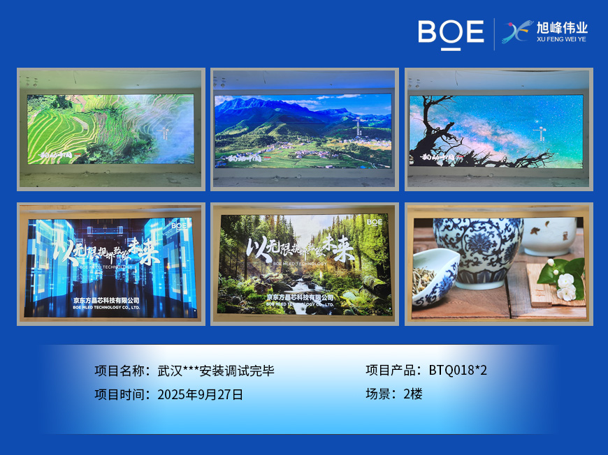 武漢***安裝調試完畢