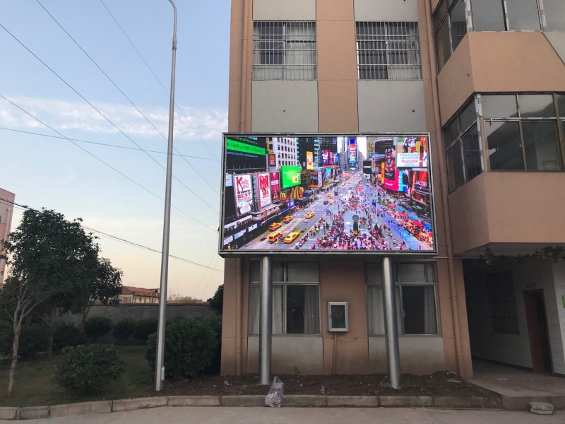 11.19嘉魚；聯合小學戶外P5 11.47個方